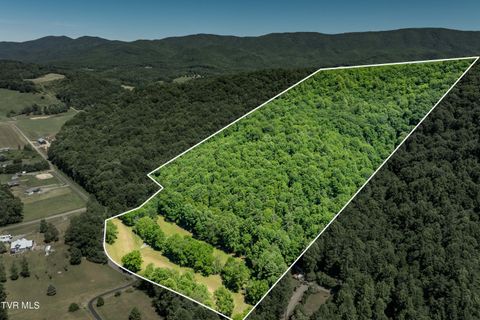 Vacant Land For Sale - 000 Copperhead Hollow Road<br/> Johnson County, Mountain City, TN 37683