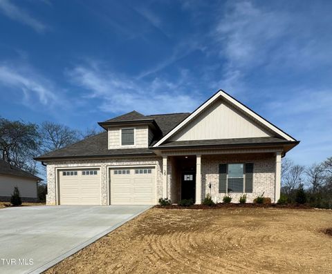 739 Twilight Falls Jonesborough TN 37659