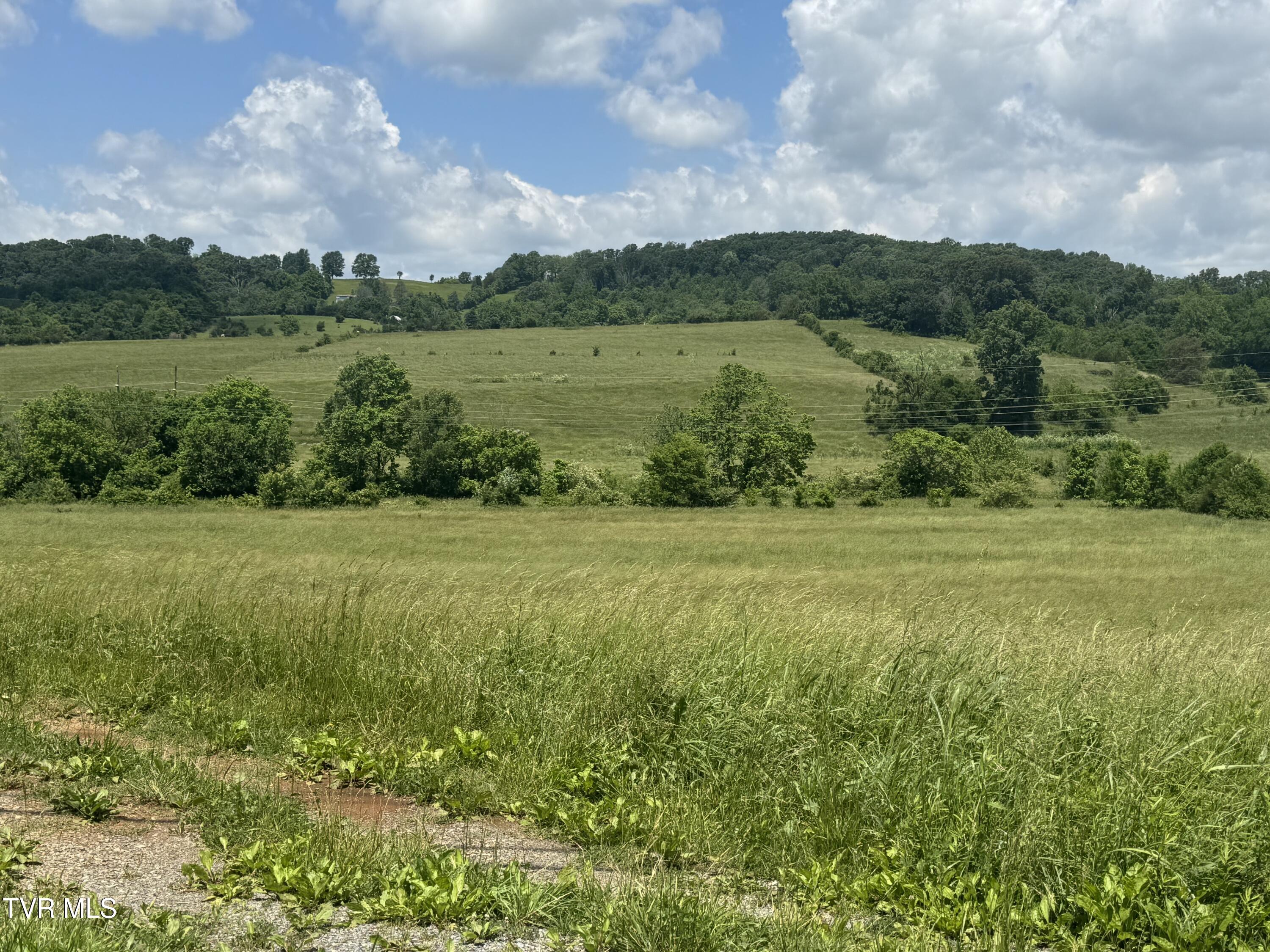 1948 Old Asheville Highway, Greeneville, Tennessee image 2