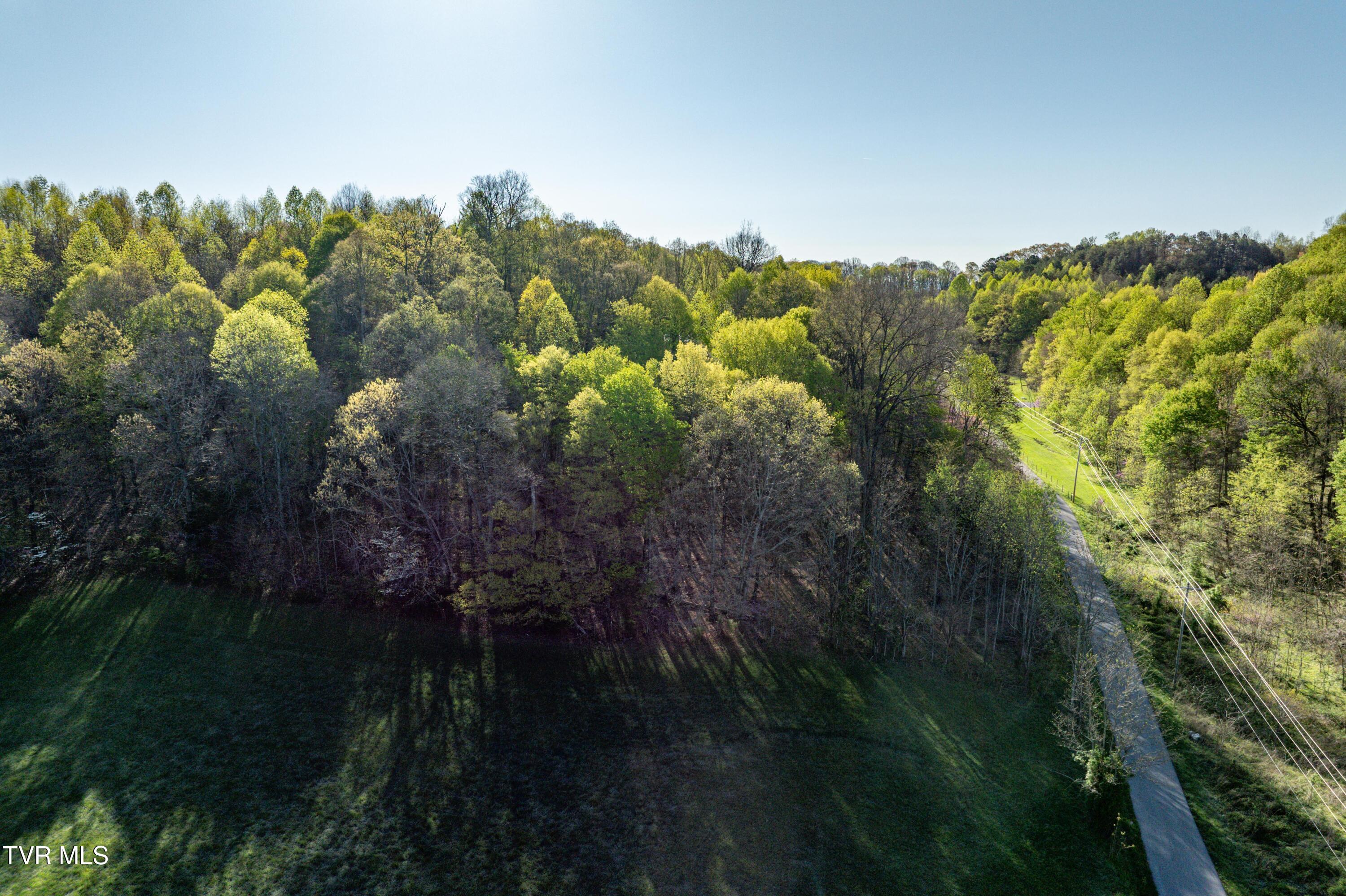 Sugarbowl Road, Chuckey, Tennessee image 32