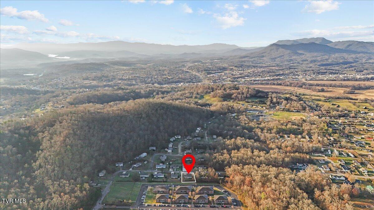 539 Shellbark Road, Newport, Tennessee image 23