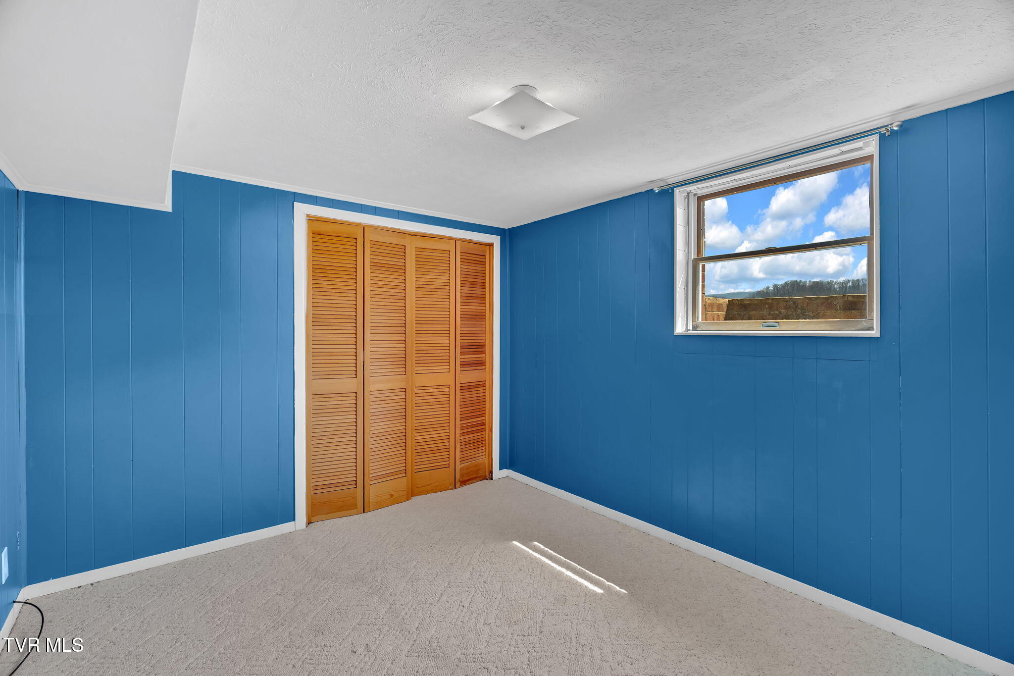 23163 Soho Sunset Lane, Abingdon, Virginia image 32
