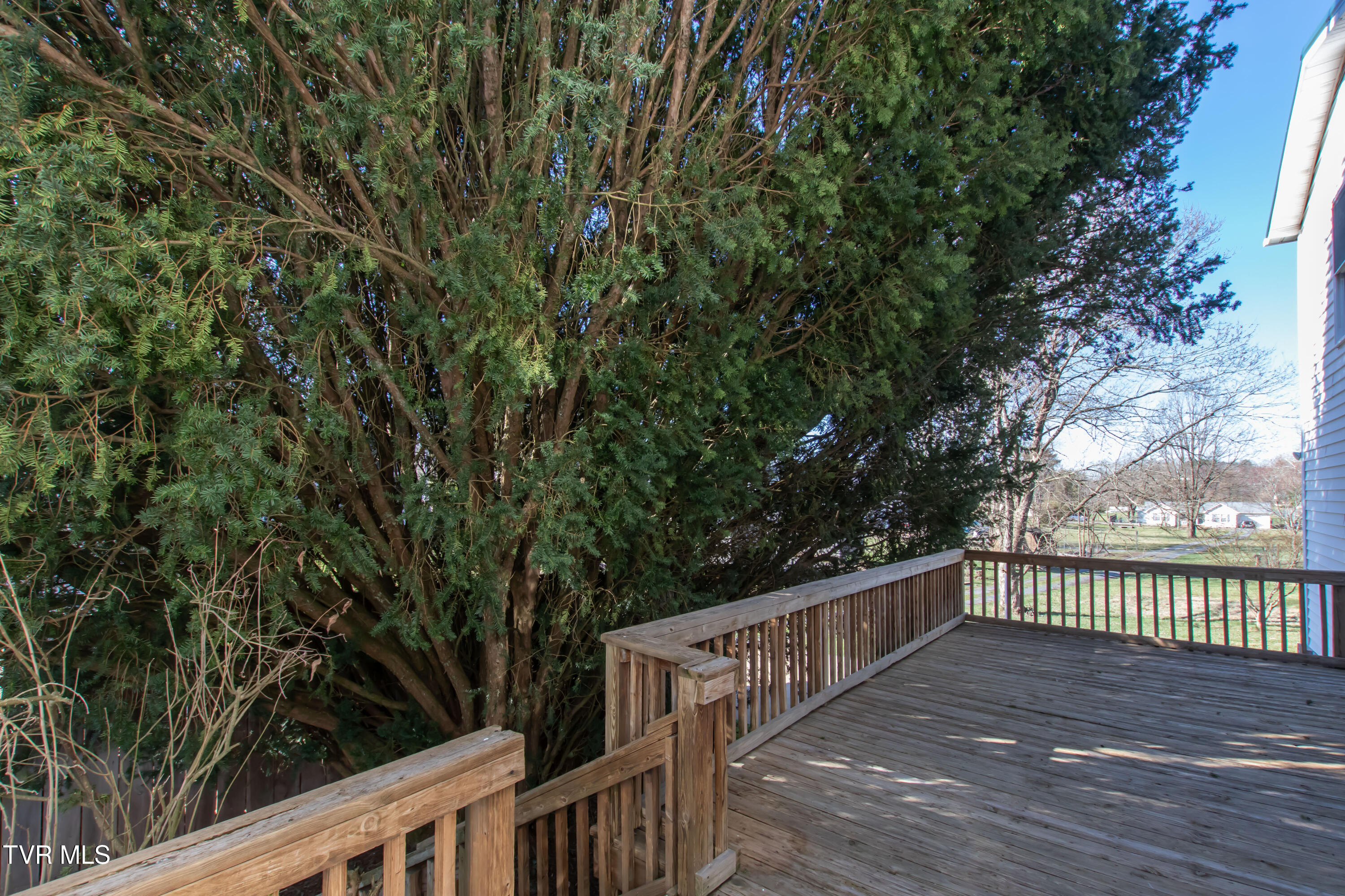 215 Williams Street, Abingdon, Virginia image 38