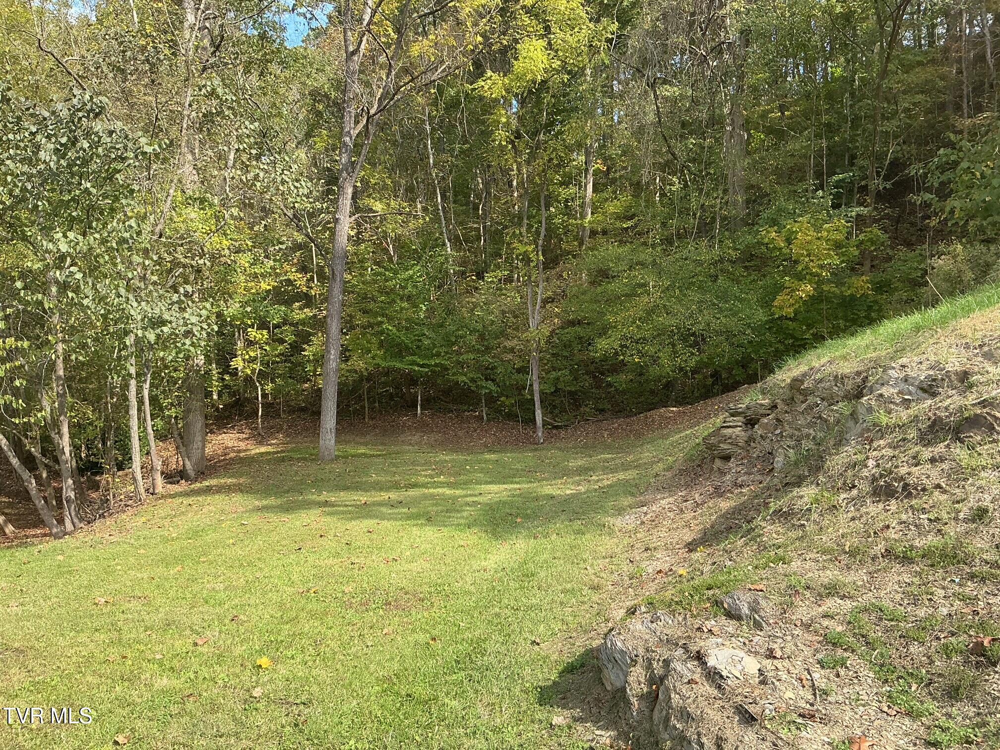 645 Light Hollow Road