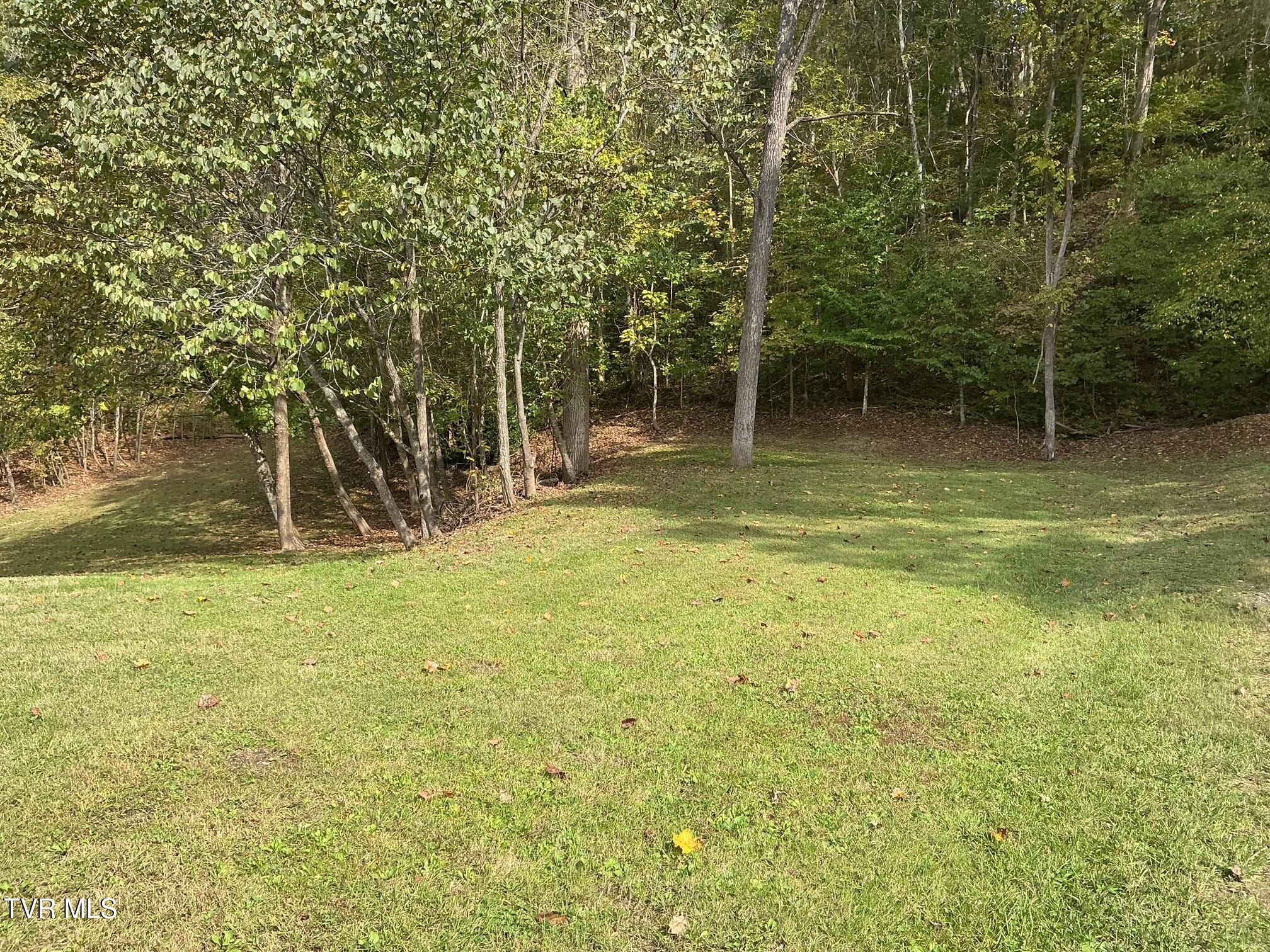 645 Light Hollow Road