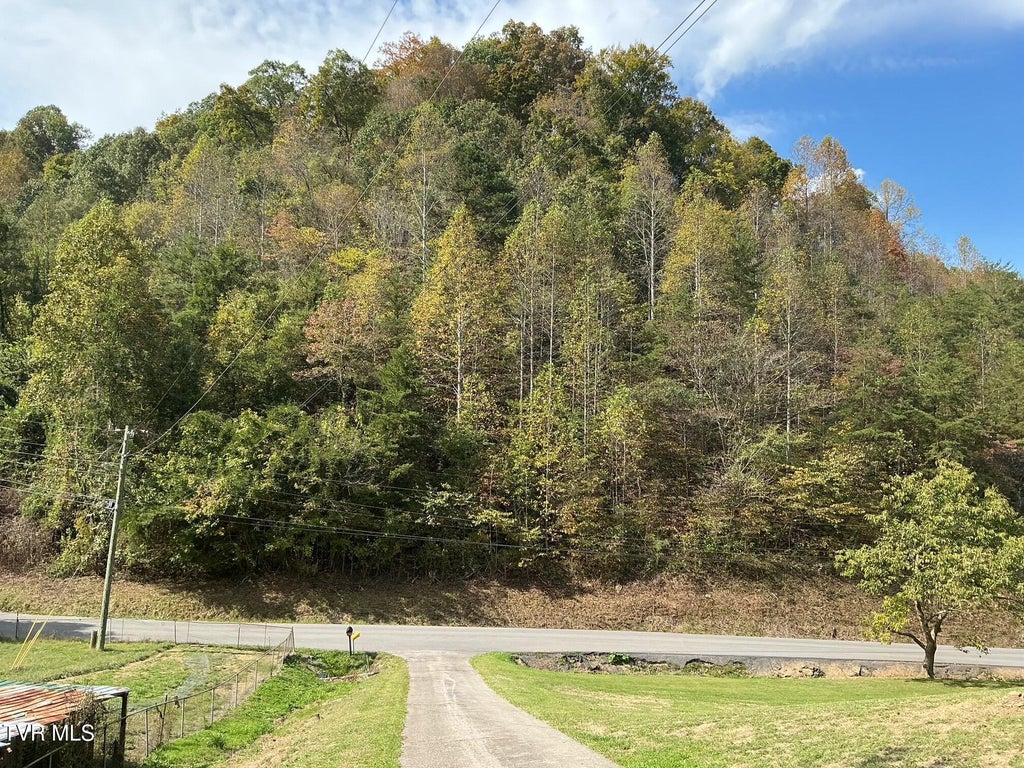 Photo of 645 Light Hollow Road, Rogersville, TN 37857 (MLS # 10002401)