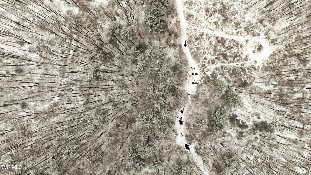 Photo of 7576 Wells Adams Road, Norton, VA 24273 (MLS # 9981239)