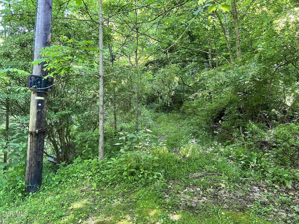 Photo of 7576 Wells Adams Road, Norton, VA 24273 (MLS # 9981239)