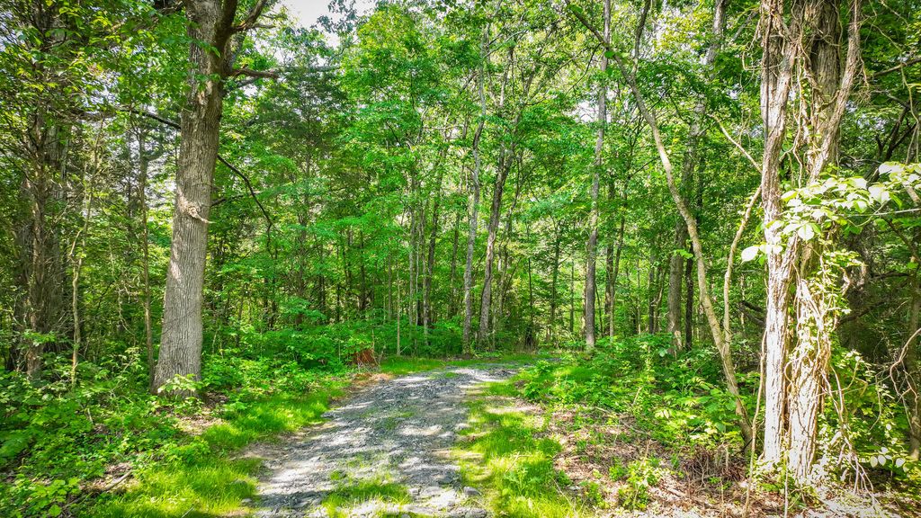 Photo of 1106 Spider Stines Road, Greeneville, TN 37745 (MLS # 9953461)