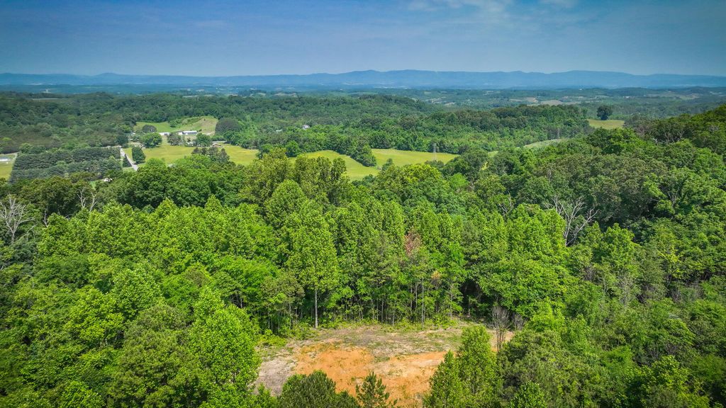 Photo of 1106 Spider Stines Road, Greeneville, TN 37745 (MLS # 9953461)