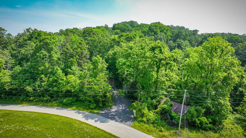 Photo of 1106 Spider Stines Road, Greeneville, TN 37745 (MLS # 9953461)