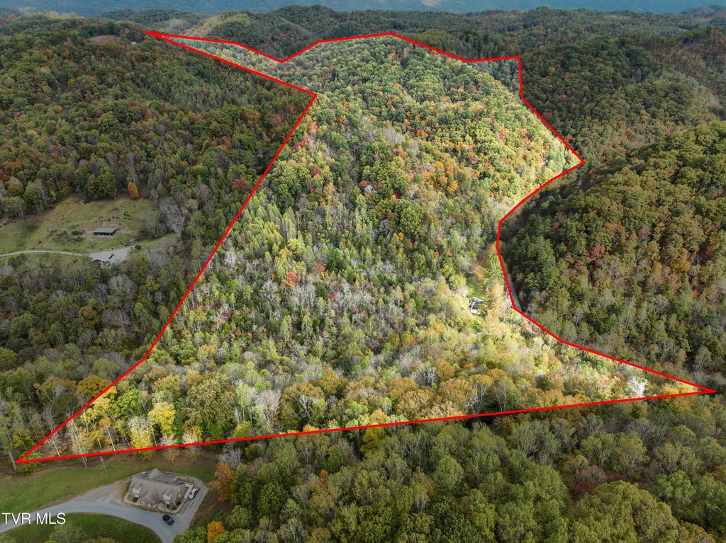 Photo of 1199 Browders Chapel Road, Hiltons, VA 24258 (MLS # 9987379)