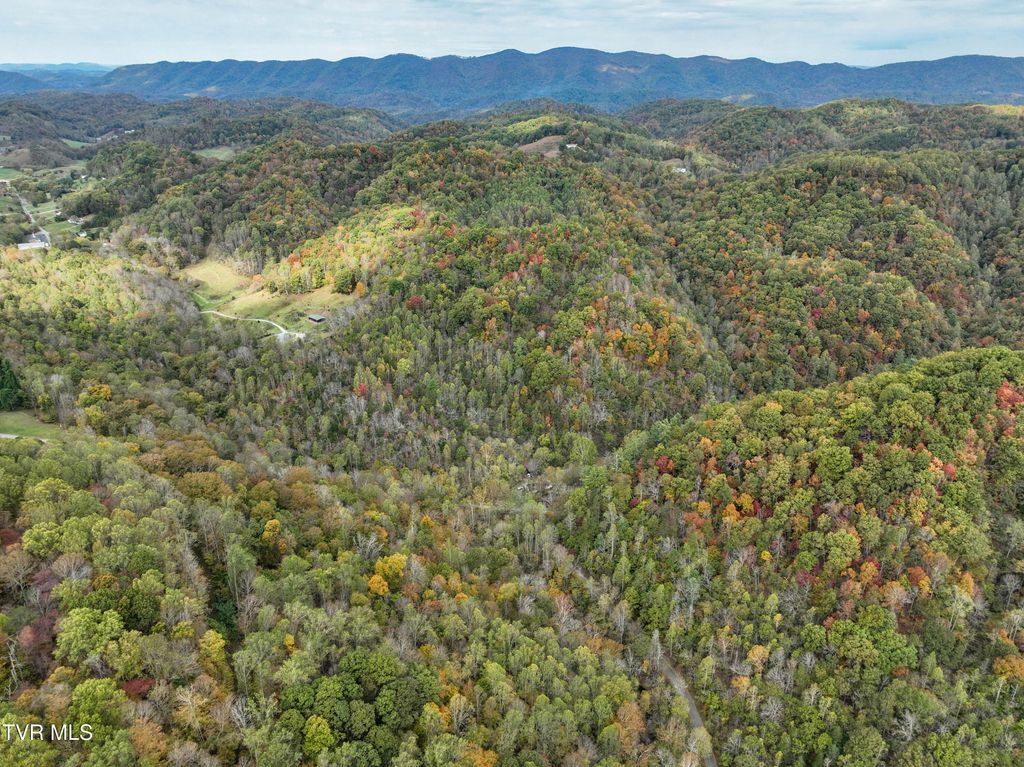 Photo of 1199 Browders Chapel Road, Hiltons, VA 24258 (MLS # 9987379)