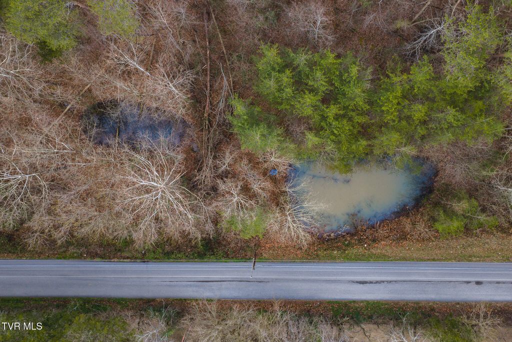 Photo of 1655 Lester Whitt Road, Rutledge, TN 37861 (MLS # 9989959)