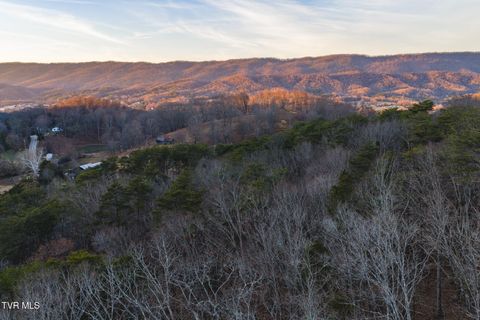 Vacant Land For Sale - 1655 Lester Whitt Road<br/> Grainger County, Rutledge, TN 37861