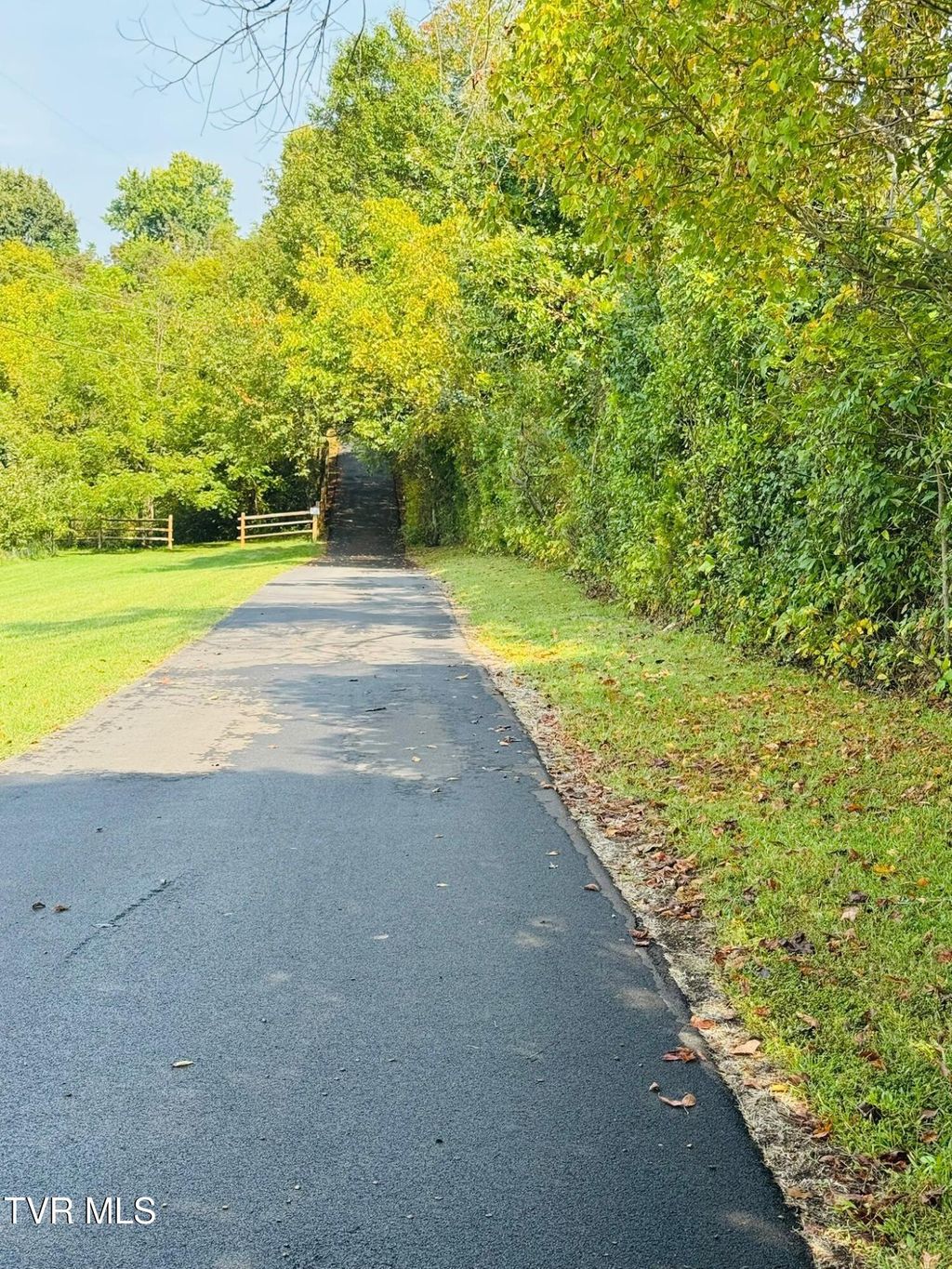 Photo of 222 Roy Martin Road, Gray, TN 37615 (MLS # 9986098)