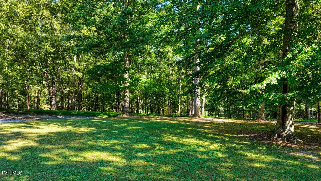 Photo of 138 Lauderback Road, Rogersville, TN 37857 (MLS # 10001697)