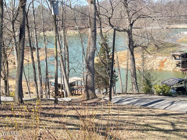 349 Baywood Drive, Piney Flats, Tennessee image 43