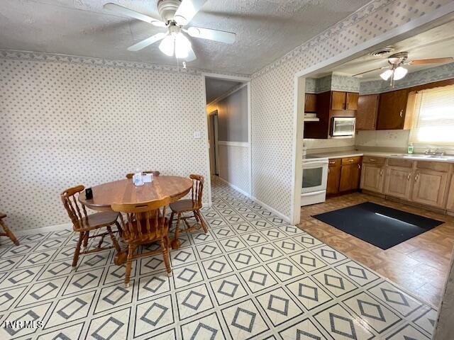 349 Baywood Drive, Piney Flats, Tennessee image 13