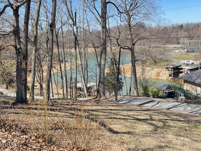 349 Baywood Drive, Piney Flats, Tennessee image 40