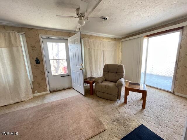 349 Baywood Drive, Piney Flats, Tennessee image 22