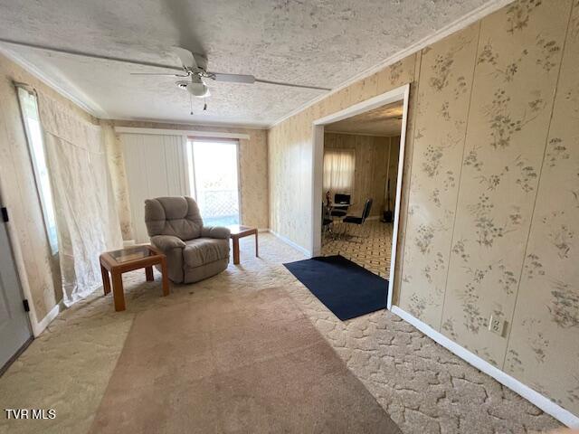 349 Baywood Drive, Piney Flats, Tennessee image 21