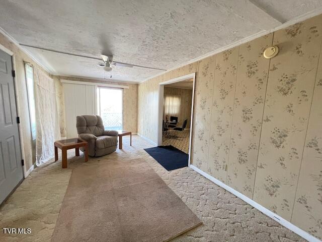 349 Baywood Drive, Piney Flats, Tennessee image 24