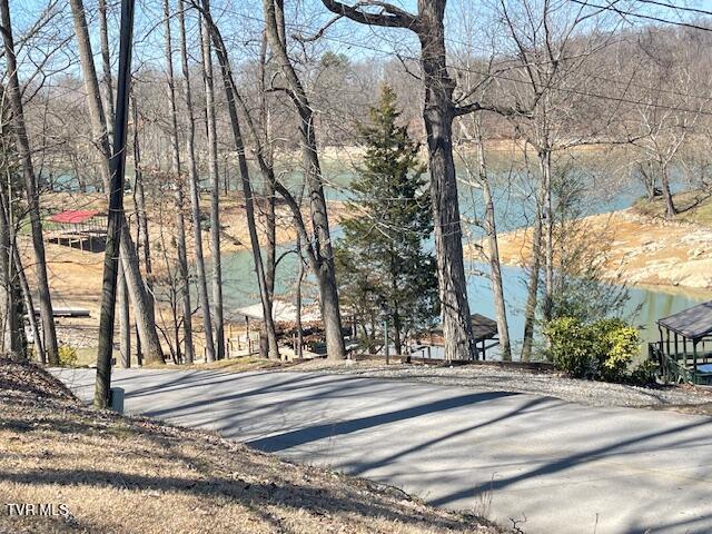 349 Baywood Drive, Piney Flats, Tennessee image 3