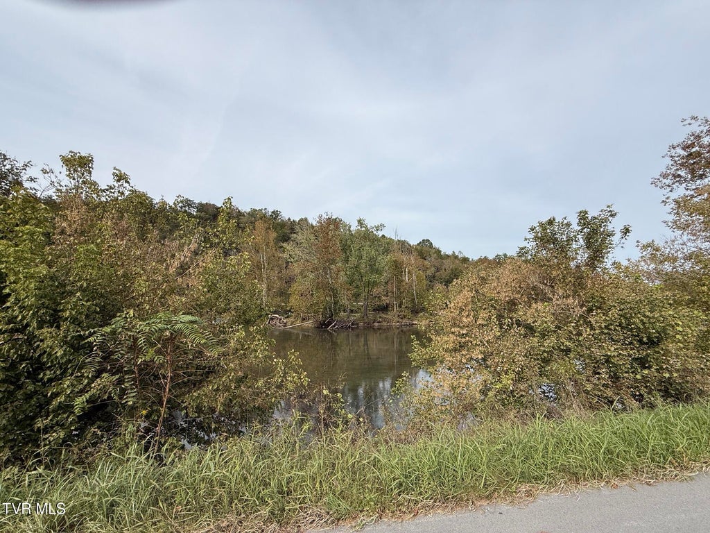 Photo of 9002 Horton Ford Road, Eidson, TN 37731 (MLS # 10002123)