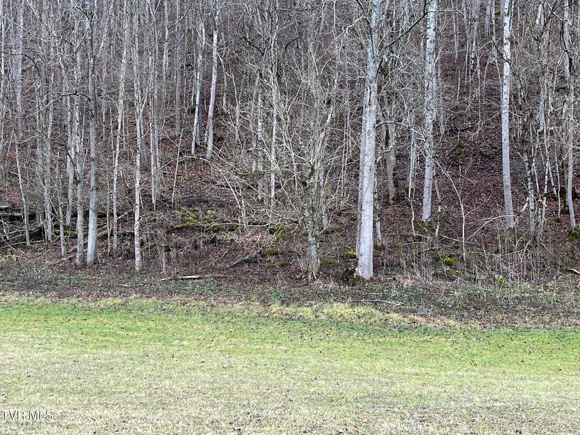 9002 Horton Ford Road