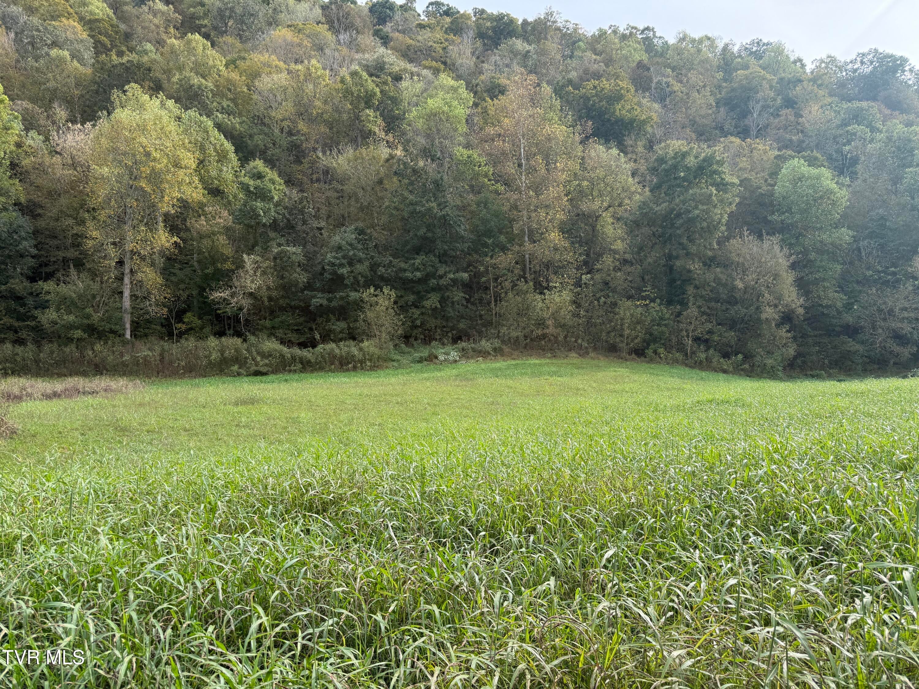9002 Horton Ford Road