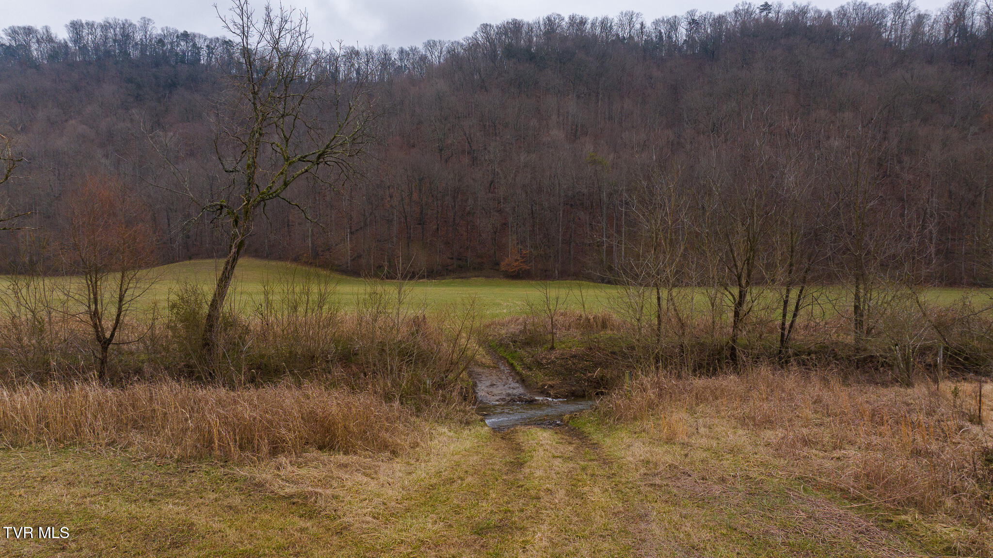 Gap Creek Road, Bulls Gap, Tennessee image 23