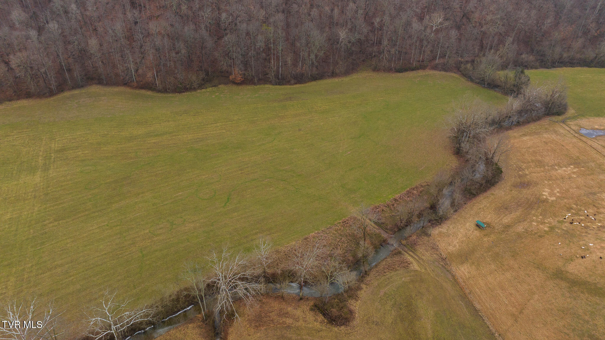 Gap Creek Road, Bulls Gap, Tennessee image 31
