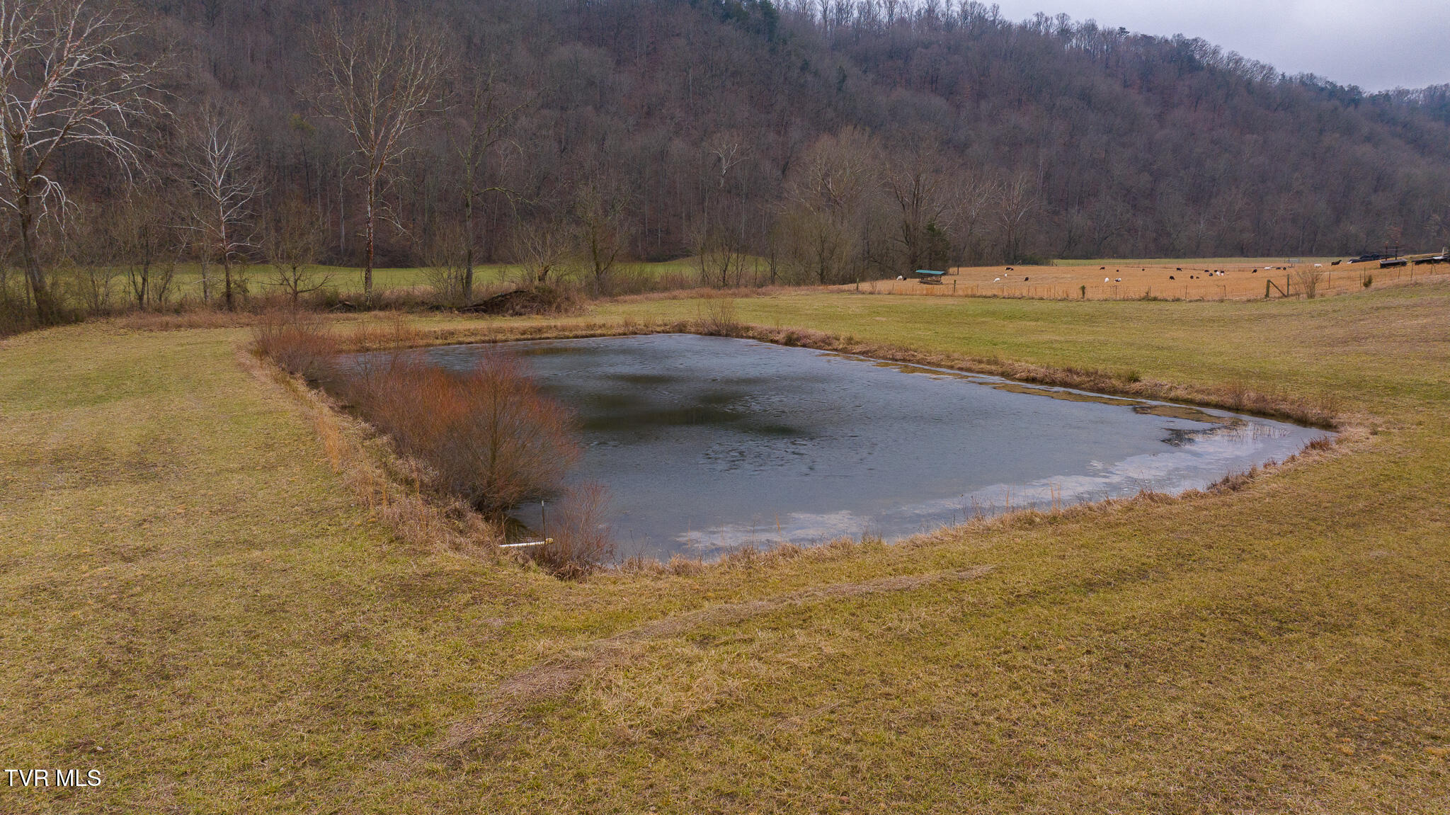 Gap Creek Road, Bulls Gap, Tennessee image 3
