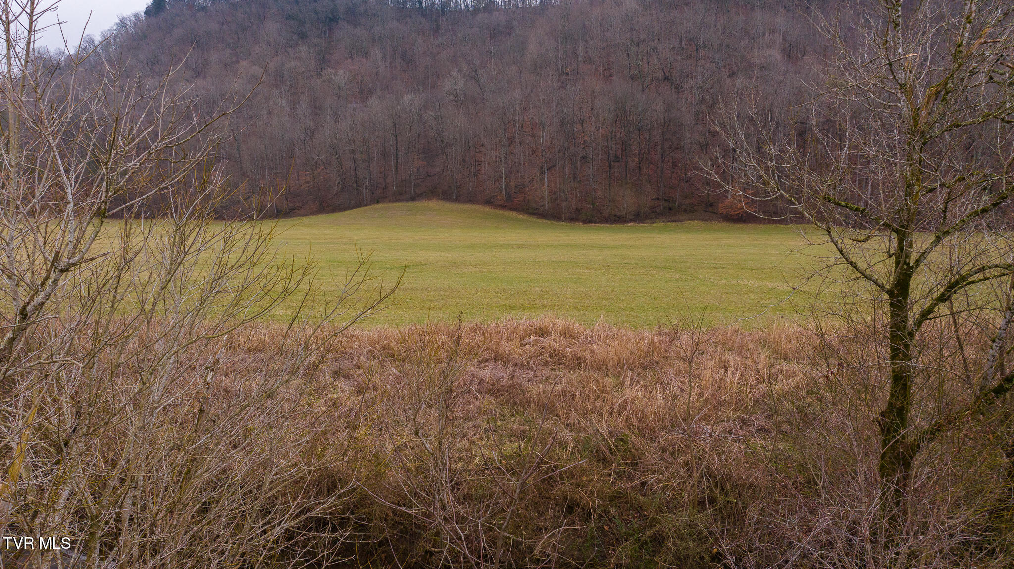 Gap Creek Road, Bulls Gap, Tennessee image 10