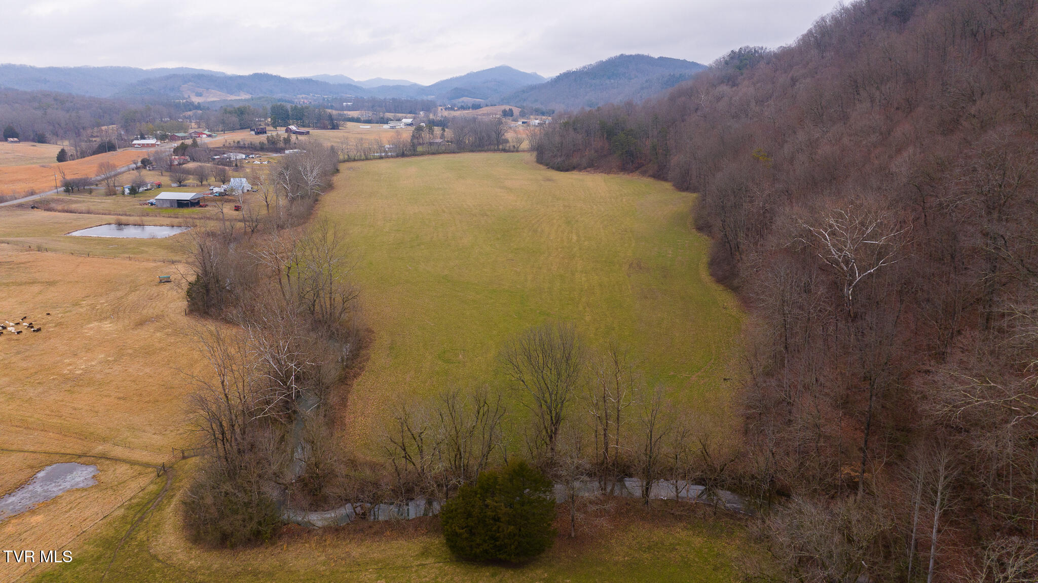 Gap Creek Road, Bulls Gap, Tennessee image 17