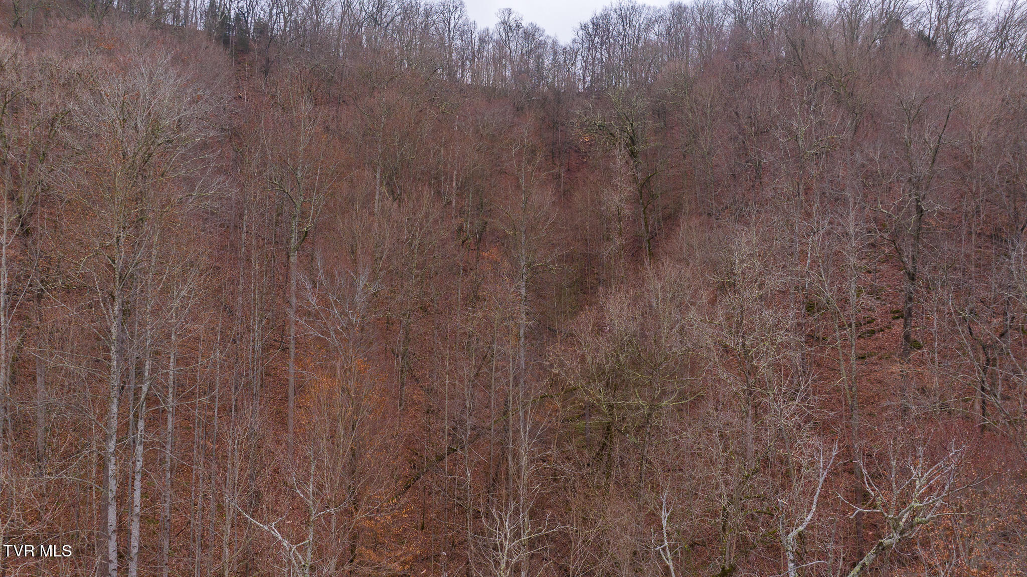 Gap Creek Road, Bulls Gap, Tennessee image 14