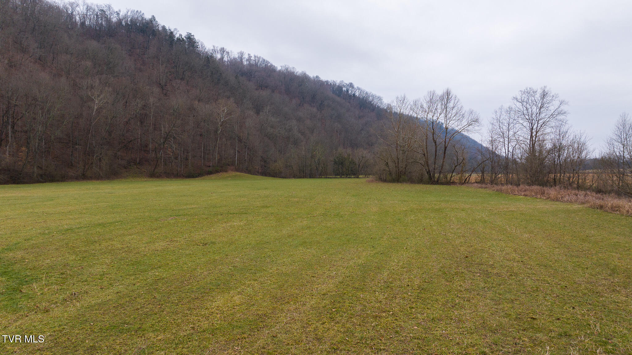 Gap Creek Road, Bulls Gap, Tennessee image 8