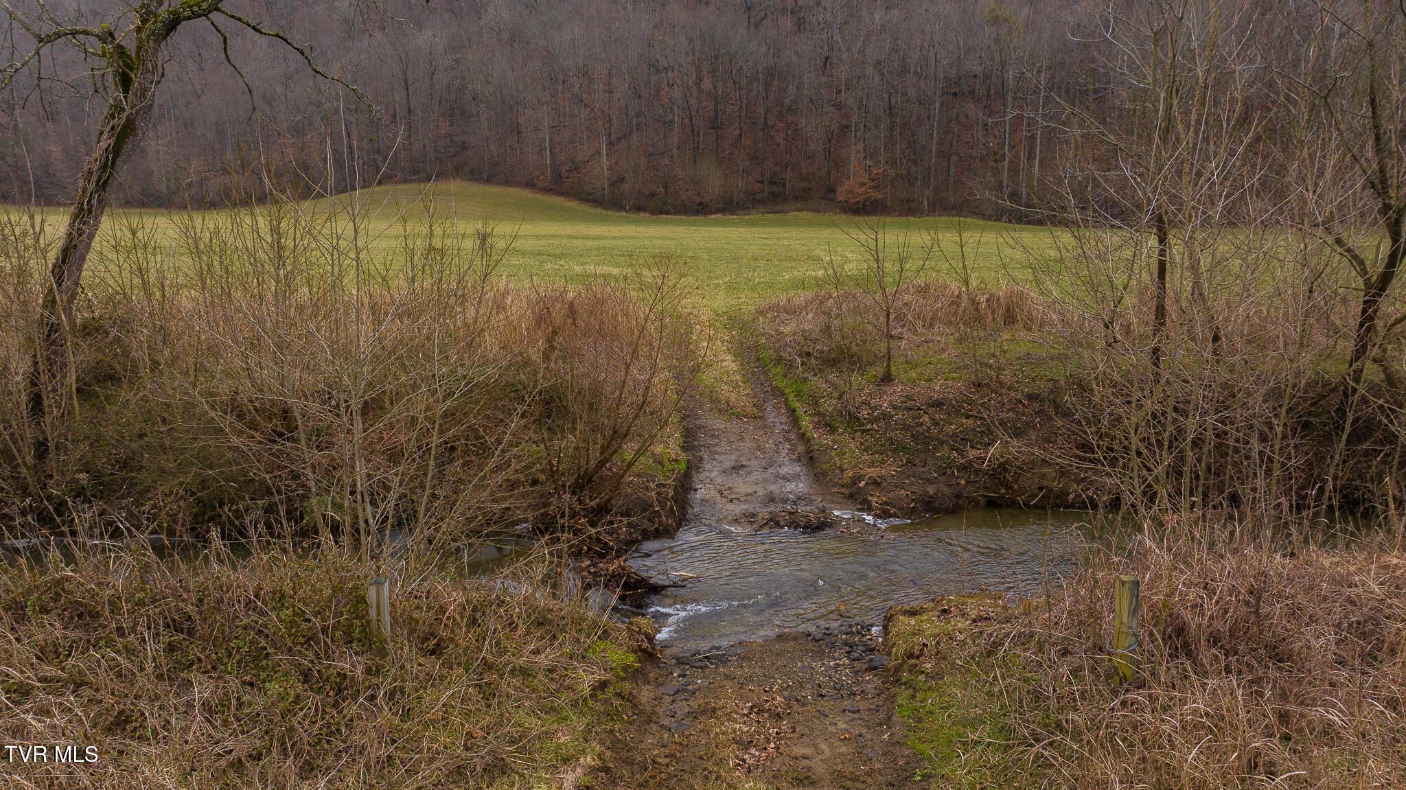 Gap Creek Road, Bulls Gap, Tennessee image 24