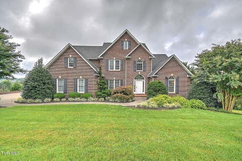 Photo of 151 Laurel Ridge Drive, Jonesborough, TN 37659 (MLS # 9999867)