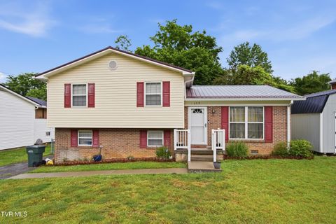 Photo of 159 Sunset Street, Greeneville, TN 37743 (MLS # 9995807)