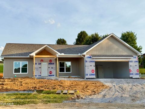 Photo of 118 Emerald Drive, Greeneville, TN 37745 (MLS # 9996334)