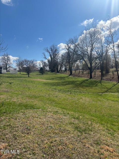 Vacant Land For Sale - 279 Miller Road<br/> Washington County, Jonesborough, TN 37659