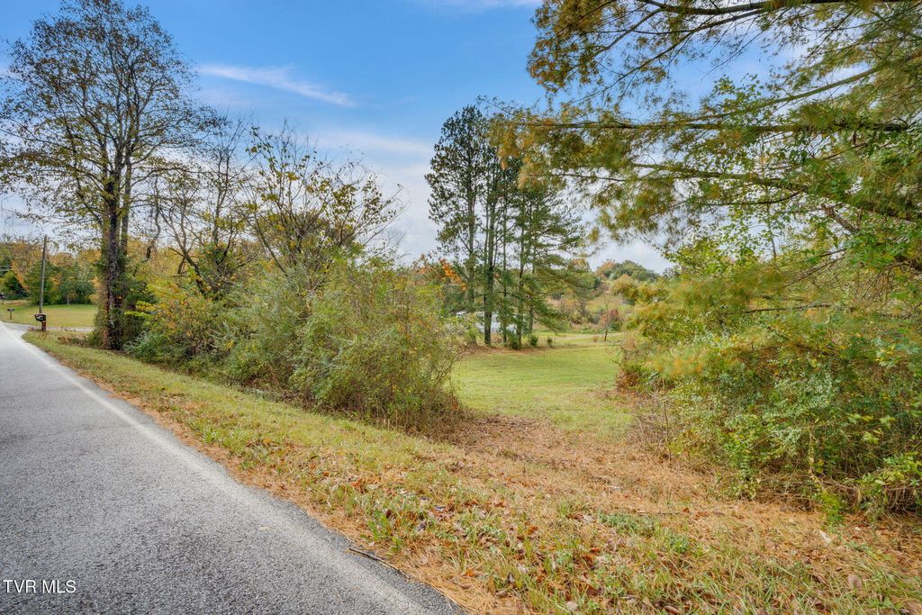 Photo of 1566 Mill Creek Road, Fall Branch, TN 37656 (MLS # 9987655)