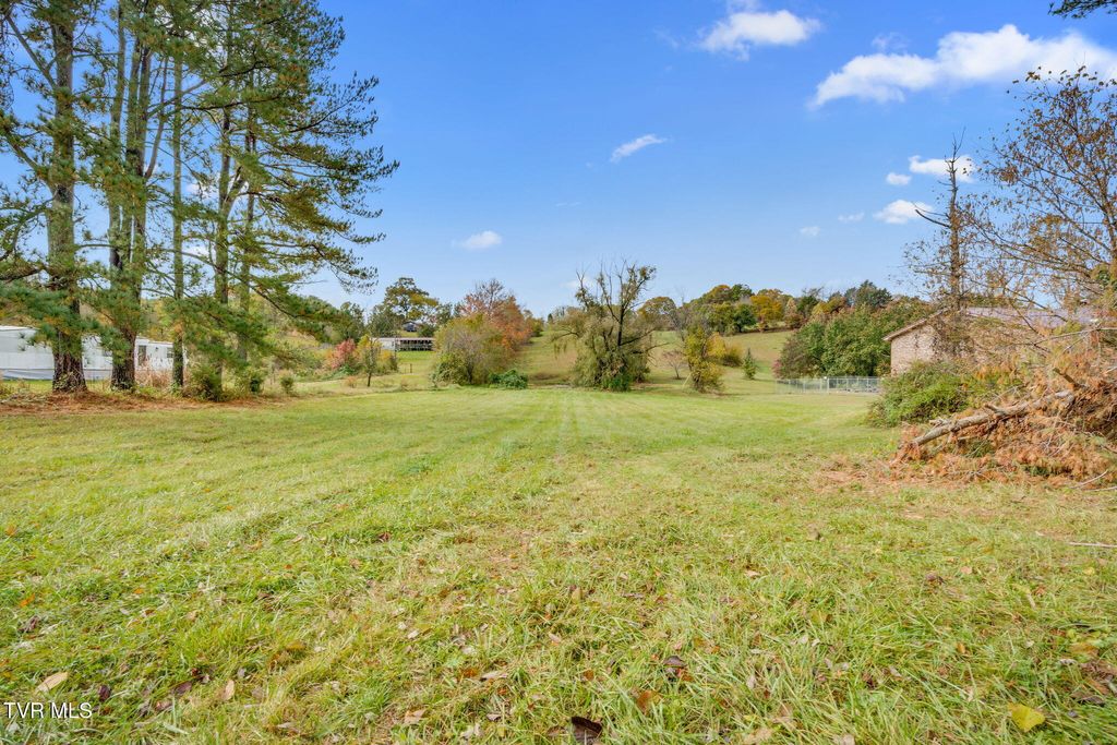 Photo of 1566 Mill Creek Road, Fall Branch, TN 37656 (MLS # 9987655)