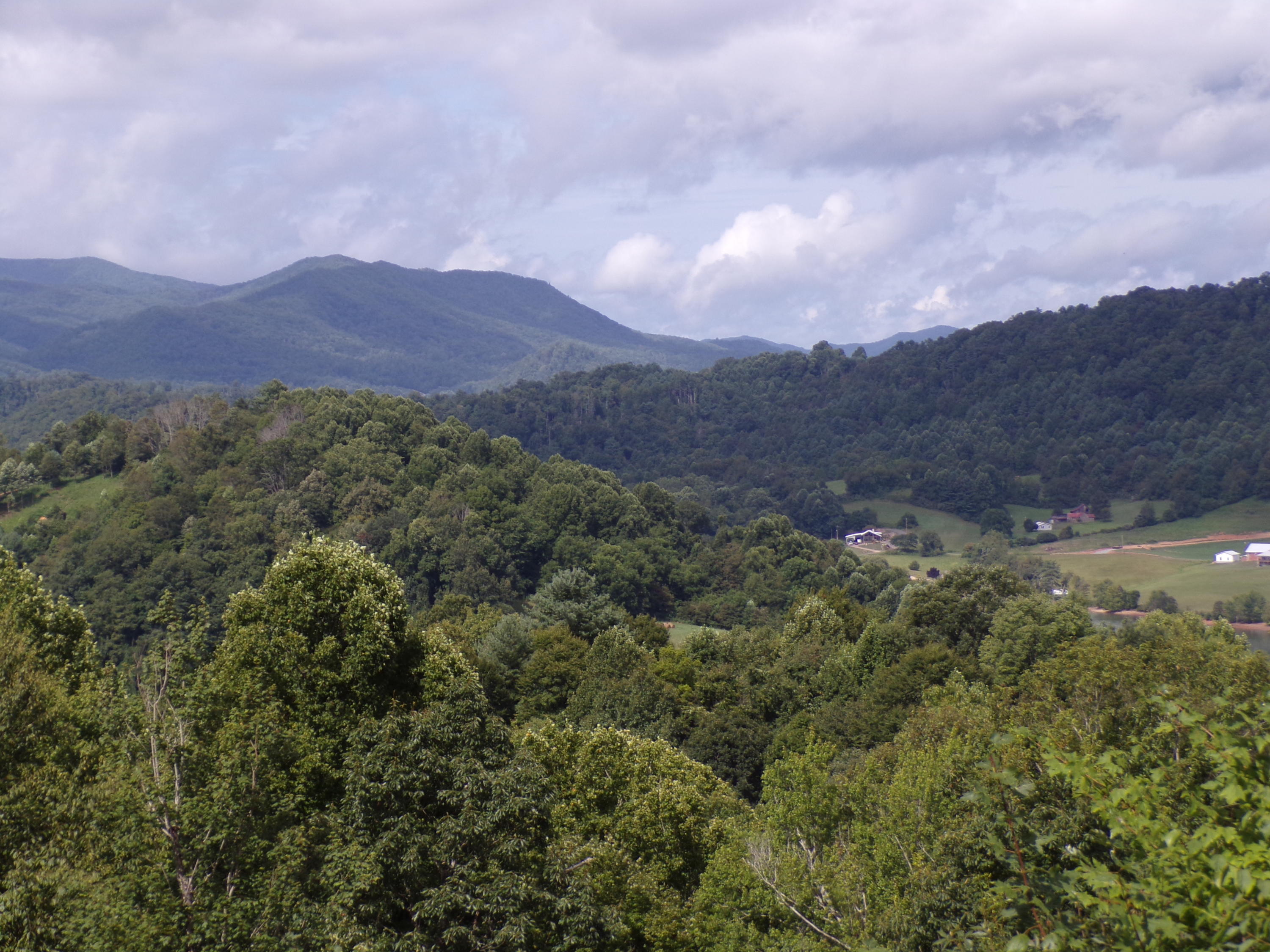 Lot 13 Lake Ridge Subdivision, Butler, Tennessee image 7