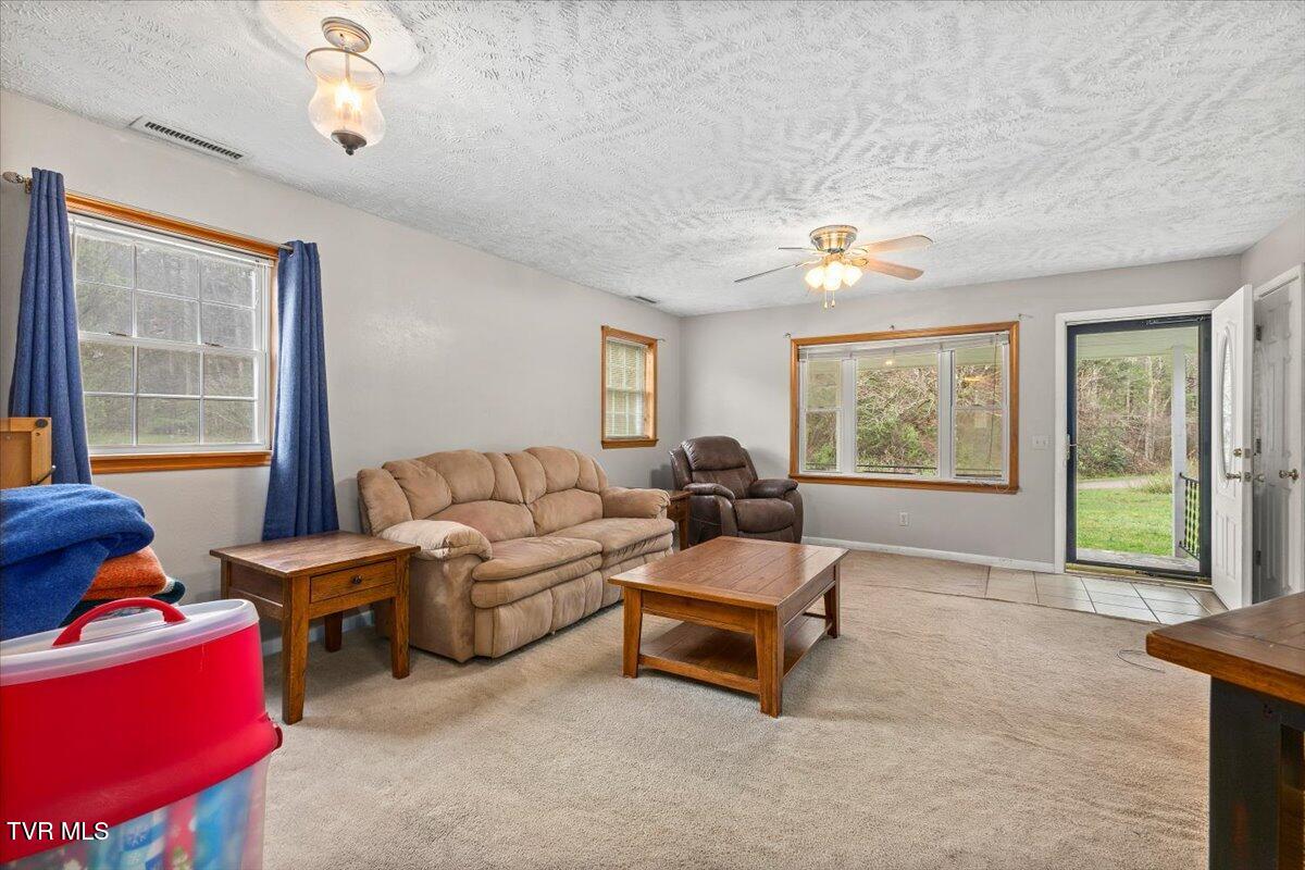 1301 Slimp Branch Road, Mountain City, Tennessee image 14