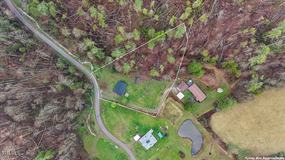 1301 Slimp Branch Road, Mountain City, Tennessee image 11