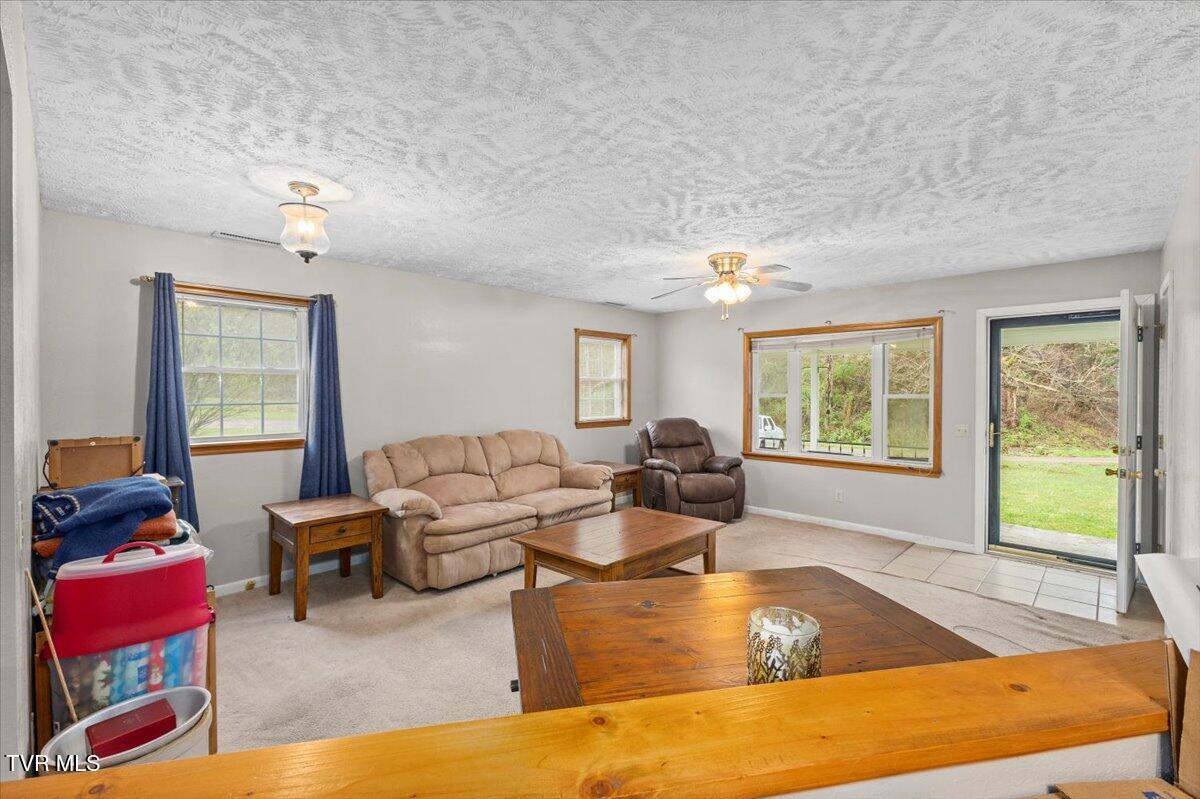 1301 Slimp Branch Road, Mountain City, Tennessee image 16
