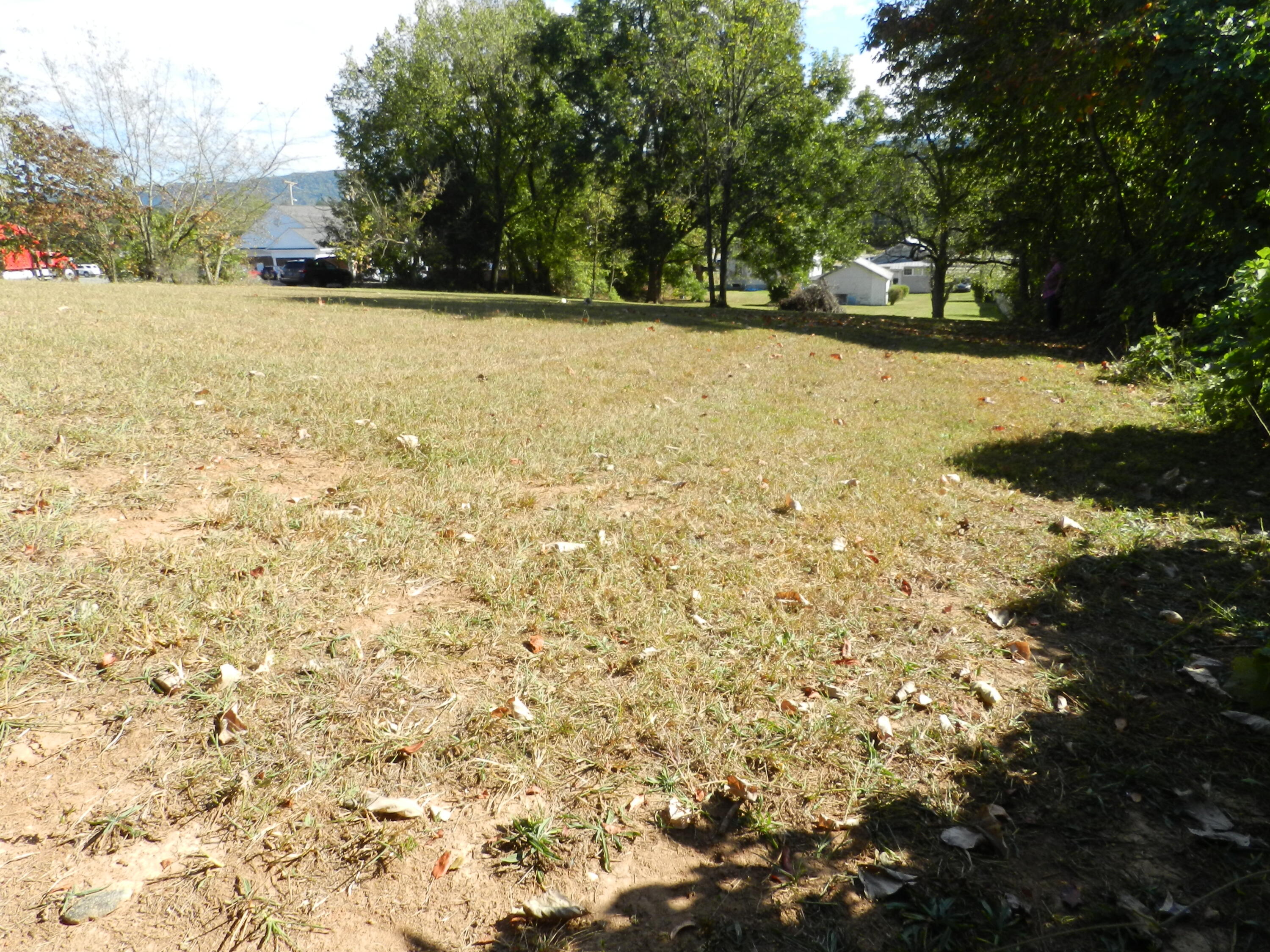 200 & 202 Main Street, Mount Carmel, Tennessee image 10